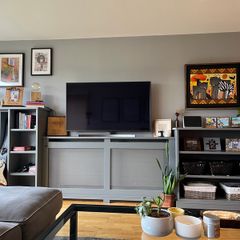 LG 55 inch TV (2019)