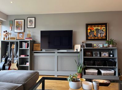 LG 55 inch TV (2019)