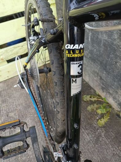 giant  roam 3 mountain bike