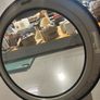 Commercial Tumble Dryer Electrolux T3290 Image 8