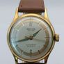 Vintage PROVITA Extra Watch automatic Image 2