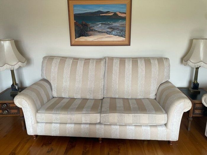 Suite of Furniture 3 + 1 + 1