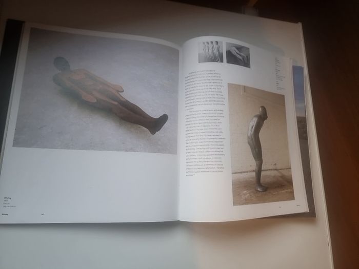 Antony Gormley by John Hutchinson, Lela B. Njatin, E. H. Gombrich and W. J. T. Mitchell