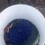fish/ reptile tank Image 10