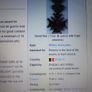 Belgium War Cross 1914-18.For Gallantry in combat. Image 7