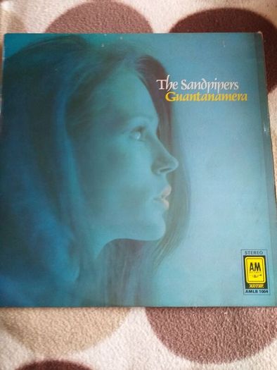 The Sandpipers.