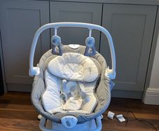 Joie Emeri 2-in-1 baby swing and rocker fern