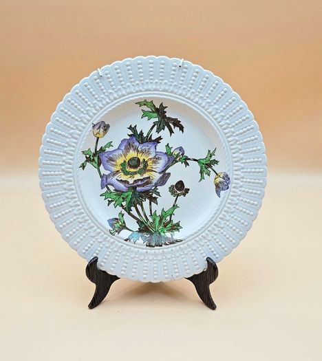 Cauldon England Collectible Botanical Plates , Decorative Plate