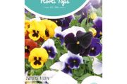 Pansy Swiss Giants mixed seeds 0.4g | Sow July - August