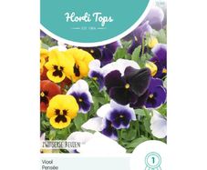 Pansy Swiss Giants mixed seeds 0.4g | Sow July - August