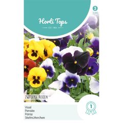 Seeds to Sow in July - August