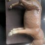 Beswick Donkey Image 5