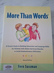 Hanen More Than Words Book
