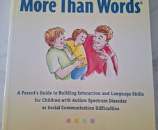 Hanen More Than Words Book