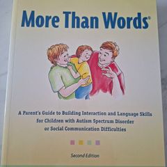 Hanen More Than Words Book