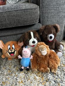 Teddys