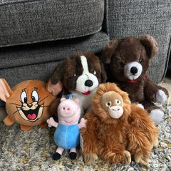 Teddys