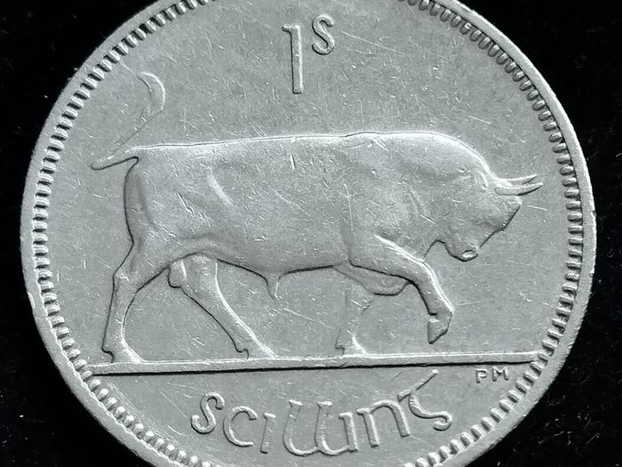 Ireland - 1959 - Shilling - Bull - KM.14a - [2471]