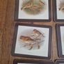 vintage tablemats Image 3