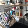 Bird cage Image 5