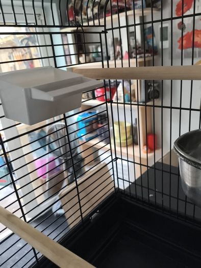 Bird cage
