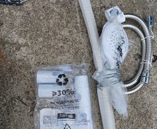 Triton Mira Shower head and wall arm.