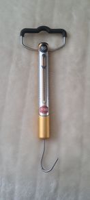 Hand held weighing scale