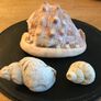 Three Vintage Sea Shells Image 3