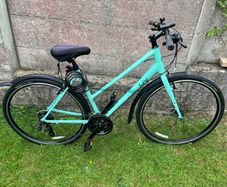 Liv Alight 3 Road Bike