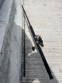 Boat rod  and reel