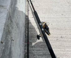 Boat rod  and reel