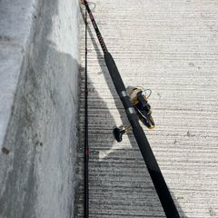 Boat rod  and reel