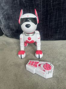 Zoey the Robo dog - free postage