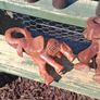 Hand carved Elephants Image 3