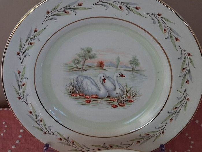 Arklow "Swanlake" dinner plates