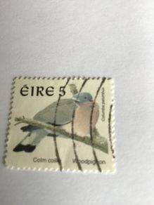 Irish stamp - Woodpigeon