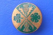 National Federation of Business &amp; Professional Women (UK advocacy organisation) - membership logo badge (c.1960's)