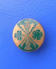 National Federation of Business & Professional Women (UK advocacy organisation) - membership logo badge (c.1960's)