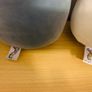 Squishmallows Image 4