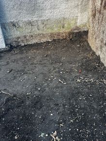 Top Soil free