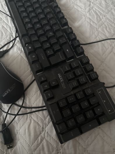 keyboard and mice