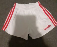 O Neils Shorts Size 26