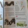 Fresh Flower Arranging (Creative Crafts for Creative Hands  Hardcover Image 4