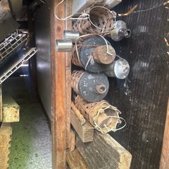 Selection of bamboo fire torches