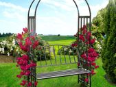 Rose Arch With Bench - Free Delivery Nationwide