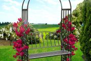 Rose Arch With Bench - Free Delivery Nationwide