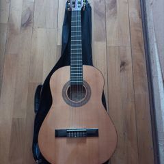 hohner acoustic guitar