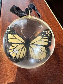 Clear glass bauble or ornament enclosing a butterfly specimen.