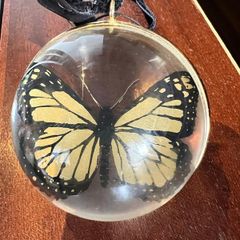 Clear glass bauble or ornament enclosing a butterfly specimen.