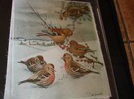 main image for ad unframed silk picture